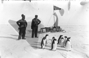 P189: A band of Adelie penguins met on the floe to west...