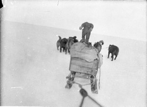 C210: Sledging stores up the ice slopes south of Cape D...