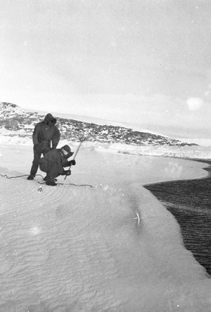 Q625: Digging out rope of fish traps on bay ice / Archi...