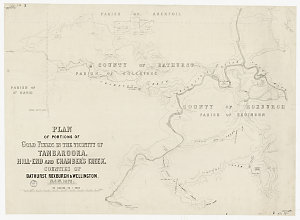 Plan of portions of gold fields in the vicinity of Tamb...