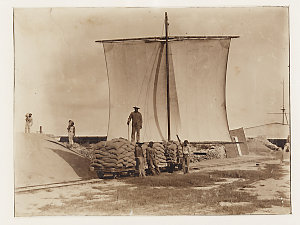 Item 02: Guano waggon, Malden Island, ca. 1900 / photog...