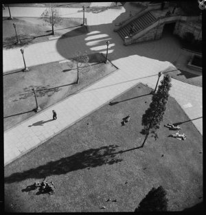 File 02: Brisbane, down shot to park and paths, 1946 / ...