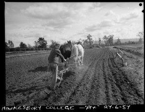 Hawkesbury Agricultural College, Windsor, 27 June 1957 ...