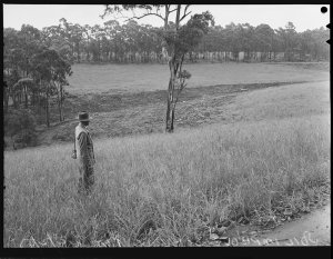Soil improvement at Yeomans Farm, 22 February 1955