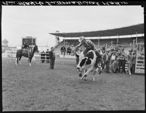 International Rodeo, Melbourne, May 1956 / photographs ...
