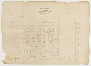 Plan of allotments at Carlton, North Melbourne, Parish ...