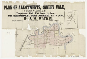 Plan of allotments, Canley Vale [cartographic material]...