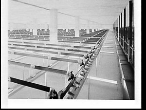 Interior of the new State abattoirs at Homebush