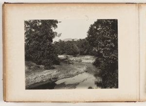 Cairns District, N.Q., ca. 1895-1900 / J. Lyne Brown