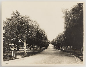 Series 17: Rural and bush scenery, ca. 1921-1923