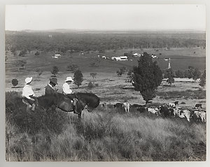 Series 17: Rural and bush scenery, ca. 1921-1923