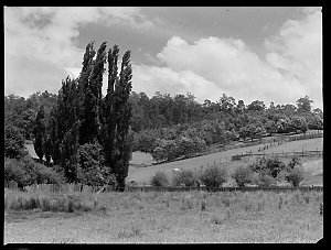 Dream valley, 1935 / photograph by Charles Wakeford