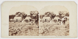 Item 4: Farming at Burwood, near Sydney, ca. 1858-1859 ...