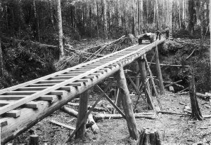 Completing a trestle bridge over a creek bed for wooden...