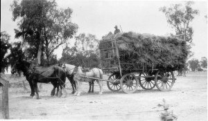 Wagon load of hay at Thelma Park - Finley, NSW