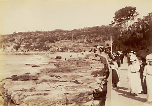Fairy Bower, Manly