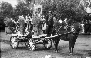 Decorated horsedrawn cart - Dubbo, NSW