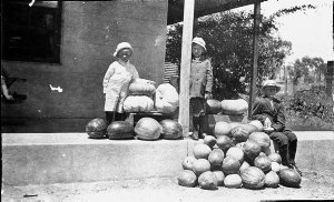 Farm produce on front verandah of Rocky View, Alectown,...