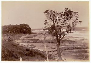 Coast view near Bulli