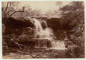 Willoughby Falls [?], North Sydney