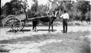 With "Ginger" the horse and cart - Urunga, NSW