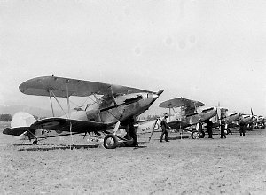 Line up of Hawker Demon aeroplanes of 3 Squadron RAAF o...