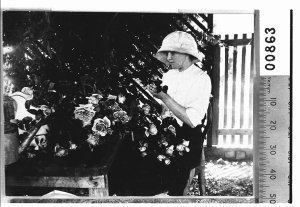 Majorie doing roses in fernery