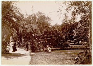 Botanical Gardens, Sydney [showing pond and walkways]