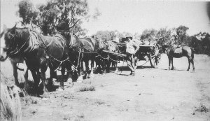Horse team used for tank sinking - Cobar area, NSW
