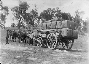 Carting wool to Railway Station from Chappel Bros. wool...