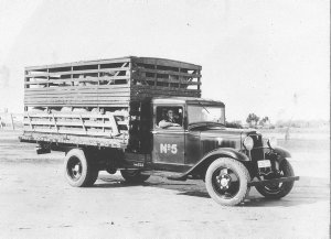 Truck with load of sheep, double decker - Hay, NSW