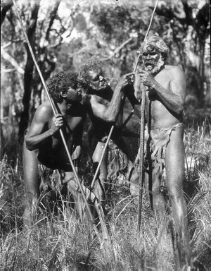 Three Aboriginal men, one about to kill a snake he is h...