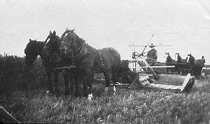 Harvesting wheat with horse-drawn McCormack reaper and ...
