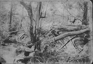 Pretending to shoot a wallaby - Bega area, NSW