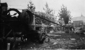 Sawing wood at 'Rosevale' Dundee - Dundee, Glen Innes, ...