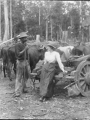 Bullocky with woman resting on timber jinker - Bonville...