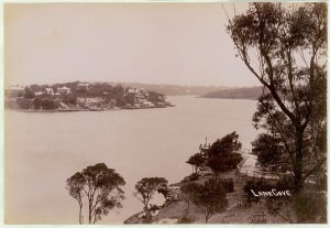 View - Lane Cove River