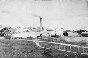 Aberdeen, NSW