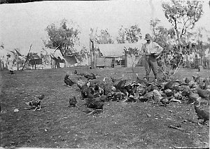 Hazelbank property. Feeding poultry - Four miles out of...