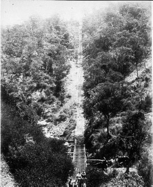 Mine tramway - Hillgrove, NSW