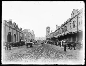 Sydney markets