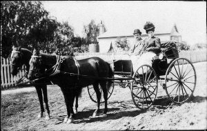 Seated in buggy - Inverell, NSW