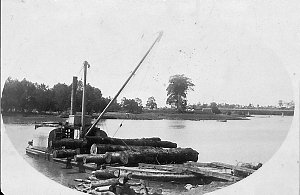 Log punt loading for Mill on Macleay River. Taken near the Angus Flats below the Kempsey Traffic Bridge - Kempsey, NSW