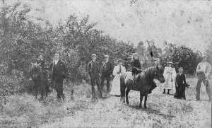 L to R: Jack (on horse), Sid, Stan, Edward, Bessie (or Rosalie), Winifred (on horse), Ida, Reg, ?. 1424 Sturt street, Ballarat - Ballarat, VIC