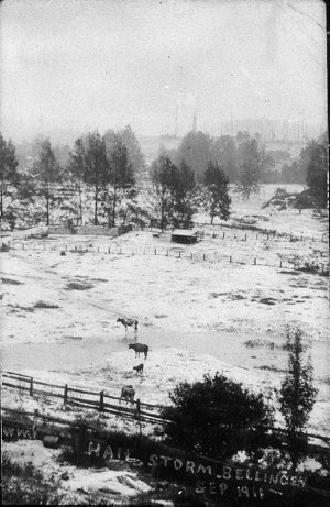 View of Bellingen after hail storm - Bellingen, NSW