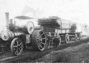 Steam traction engine hauling 13,000 feet of sawn pine ...