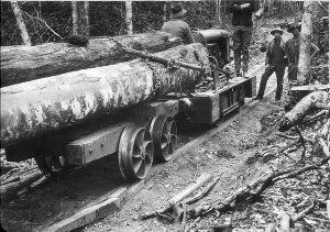 Logging crew with forest locomotive, hauling cabinet ti...