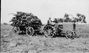 Wagon load of wood on "Baldon" Station. McCormack Deeri...