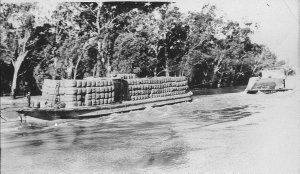 Wool barge on the Murrumbidgee River - Hay, NSW