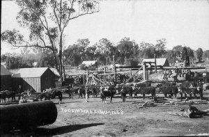 Timber Mill - Tocumwal, NSW